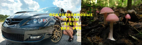 меф Каменногорск